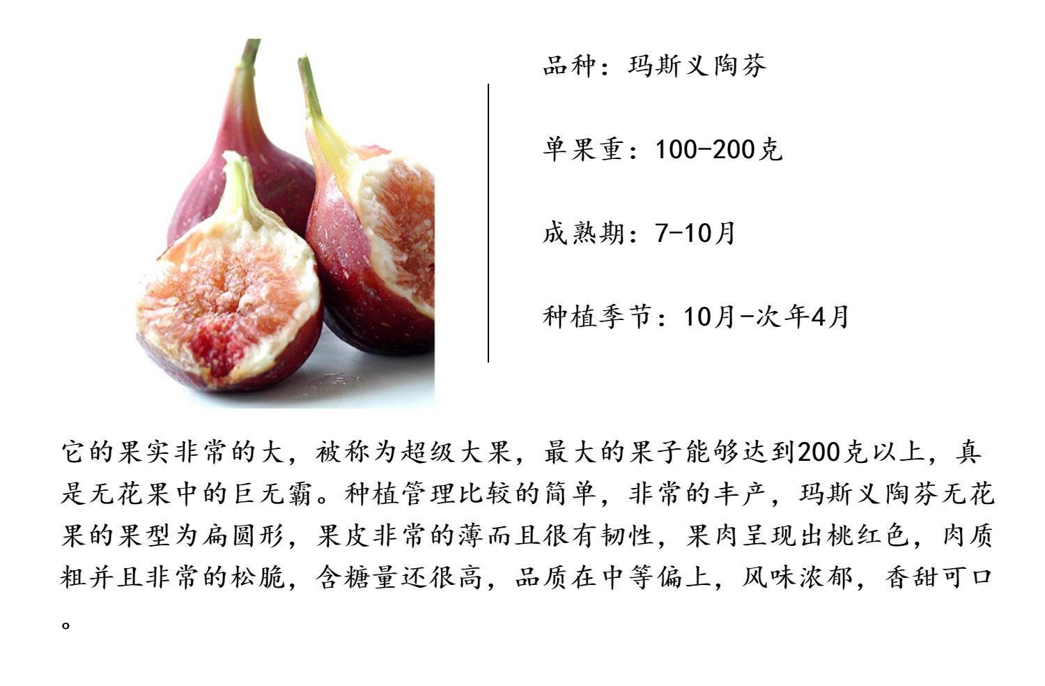 O1CN01dBiKdQ1nxUoZejkGc_!!2795245156.jpg