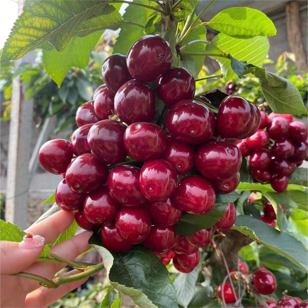 07c9d56911ff7811ef2b995f91064b5 - 副本.jpg