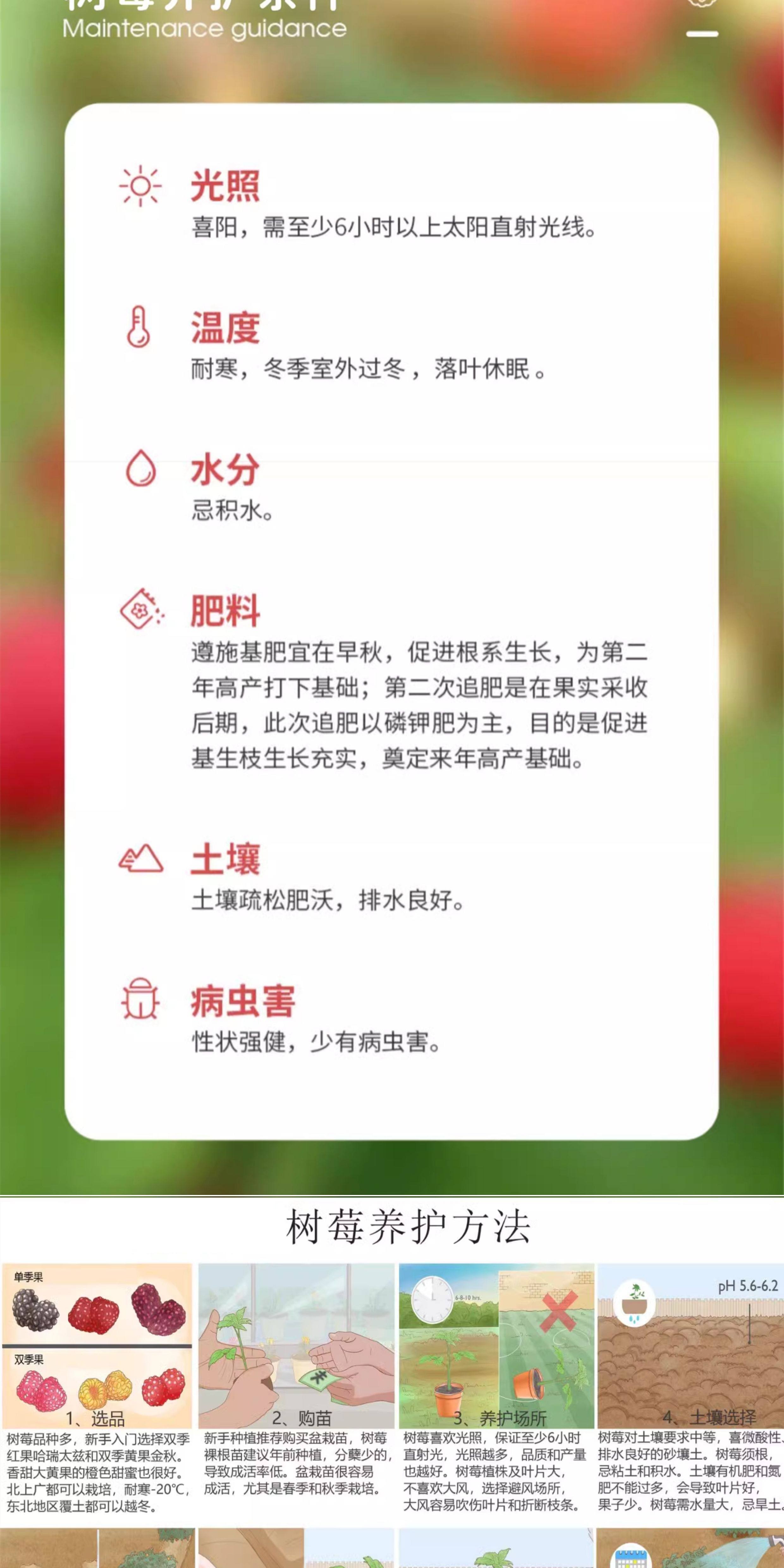 O1CN01n3poBc1nxVCosh7Vn_!!2795245156.jpg