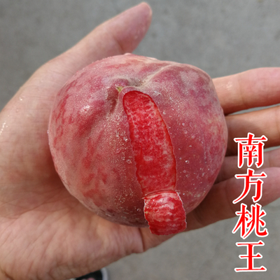 南方桃王桃苗（血桃）